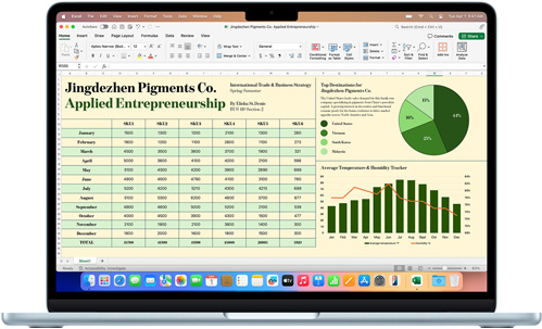 MacBook Air 正展示 Microsoft Excel
