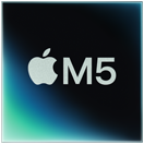 شريحة M5