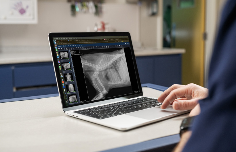 El MacBook Air muestra imágenes en tiempo real de radiografías y ecografías detalladas.