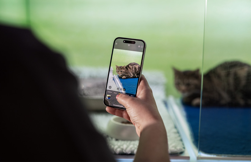 El personal de enfermería usa el iPhone para mandar fotos de las mascotas, lo que les da a los clientes un mundo de tranquilidad.